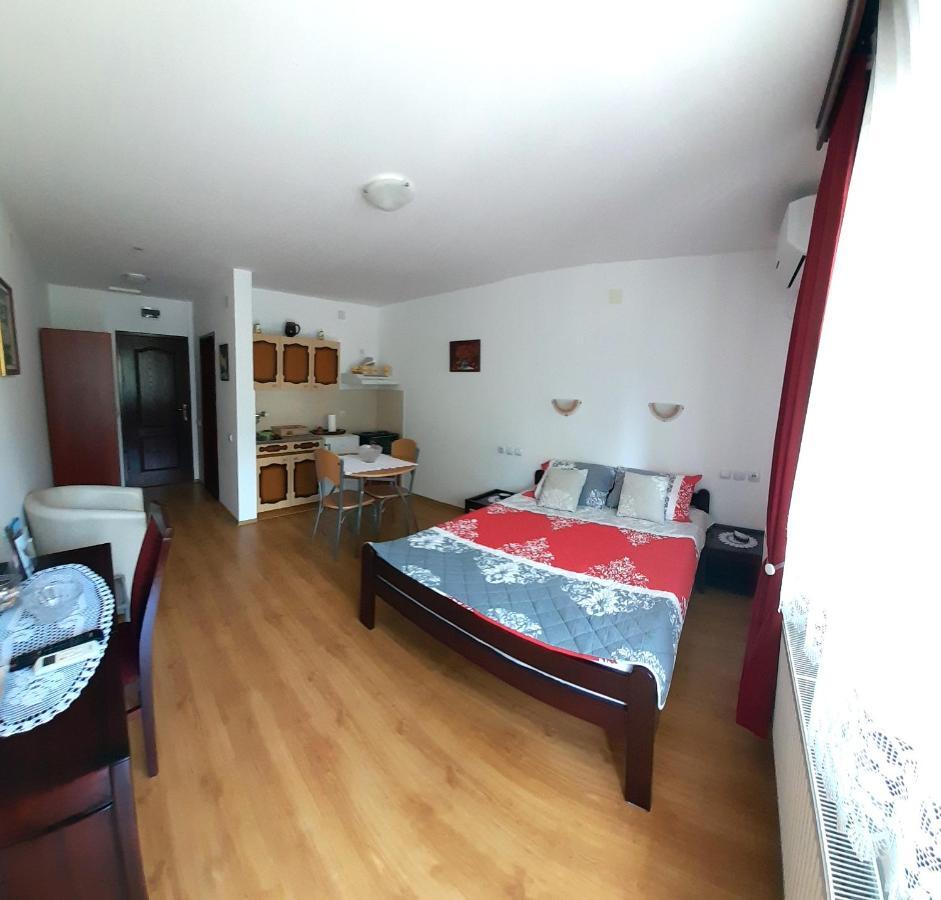 Apartmani "Vila Jelena" Aranđelovac Exterior foto