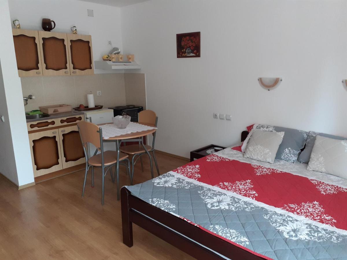 Apartmani "Vila Jelena" Aranđelovac Exterior foto