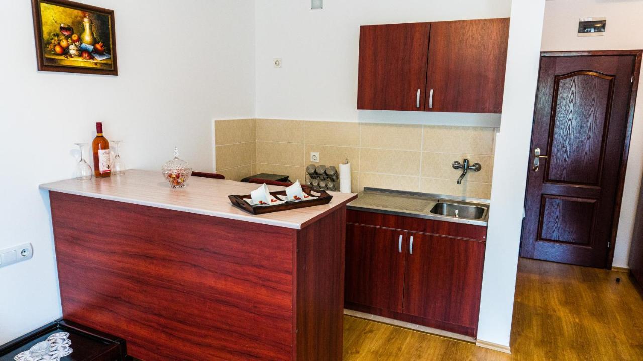 Apartmani "Vila Jelena" Aranđelovac Exterior foto