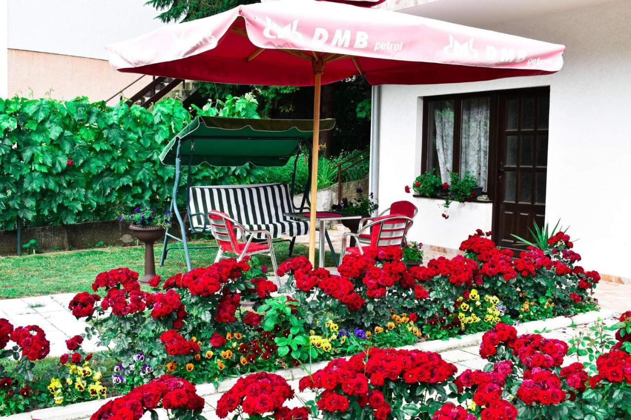 Apartmani "Vila Jelena" Aranđelovac Exterior foto