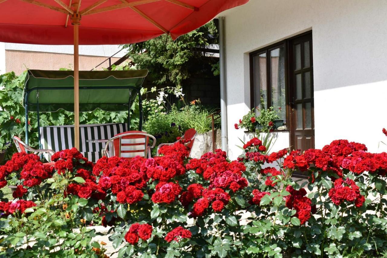 Apartmani "Vila Jelena" Aranđelovac Exterior foto