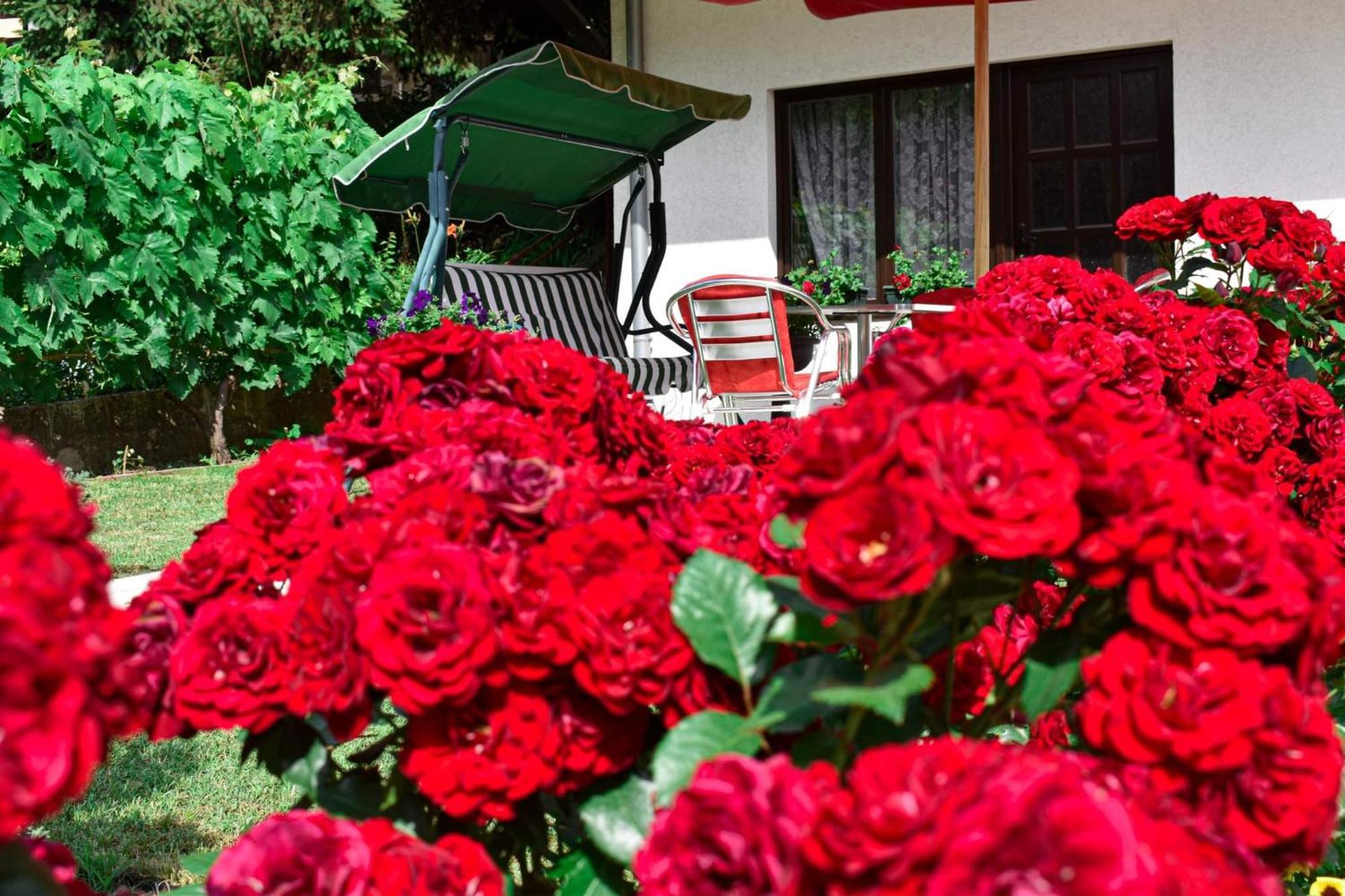 Apartmani "Vila Jelena" Aranđelovac Zimmer foto