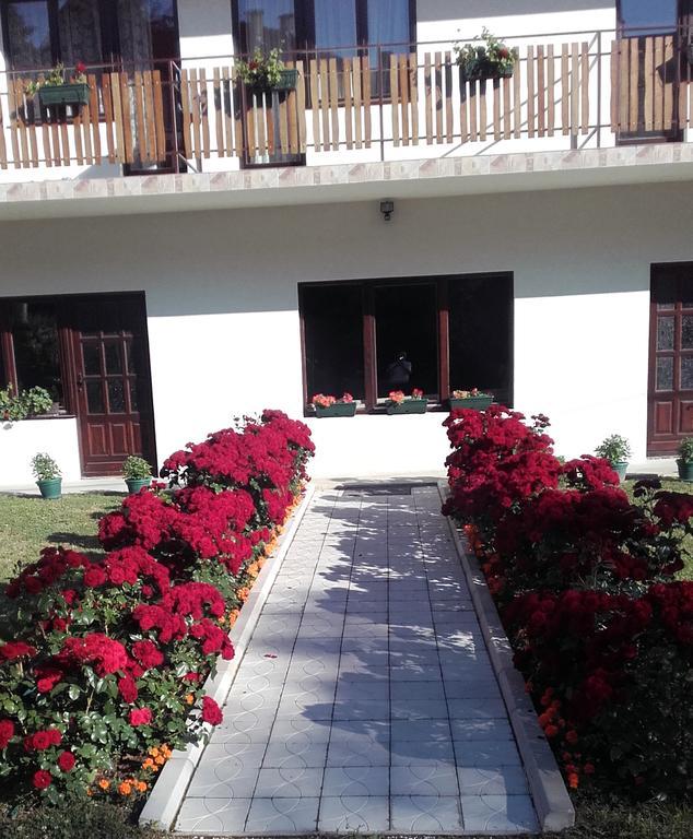 Apartmani "Vila Jelena" Aranđelovac Exterior foto