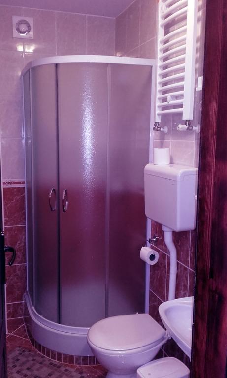 Apartmani "Vila Jelena" Aranđelovac Exterior foto